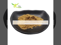 100% natuurlijk Bhringaraj extract Eclipta Alba extract Eclipta Alba poederprijs