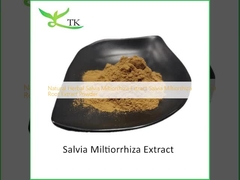 Natuurlijke kruiden Salvia Miltiorrhiza extract Salvia Miltiorrhiza wortel extract poeder