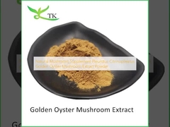 Natuurlijke paddenstoel supplement Pleurotus Citrinopileatus Golden Oyster Mushroom Extract Powder