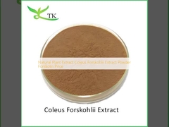 Natuurlijke plantenextract Coleus Forskohlii Extract Poeder Forskolin Prijs