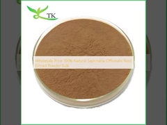 Groothandelsprijs 100% natuurlijk saponaria officinalis wortel extract poeder in bulk