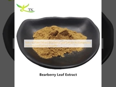 Natuurlijke plantenextract Beberberry Leaf Extract Arctostaphylos Uva Ursi Leaf Extract Poeder