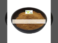 Natuurlijk plantenextract Capparis Spinosa L. Extract Capparis Spinosa Vruchtenextract Poeder Kappersextract