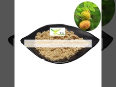 Beste prijs 100% natuurlijke Rosa Roxburghii Fruit Powder