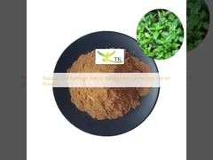 Natuurlijke TCM Kalmegh Extract Andrographis Paniculata Extract Poeder