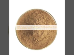 100% natuurlijke voedselkwaliteit uien schil extract rode uien extract poederprijs