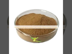 Natuurlijk Azadirachta Indica Fruit Extract Neem Extract Poeder