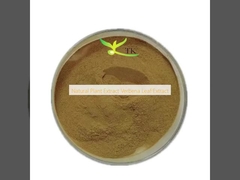 Natuurlijk plantenextract Verbena bladextract