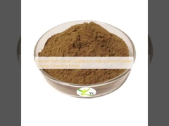 Natuurlijk plantaardig extract Chelidonium Majus Extract Poeder Grotere Celandine Extract