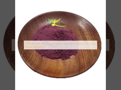 100% natuurlijke Acai Berry poeder Acai Berry extract 10:1