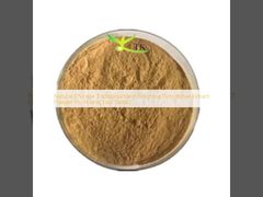 Natuurlijk Chinees Traditioneel Kruid Rhizoma Picrorhizae Extract Poeder Hu Huang Lian Extract