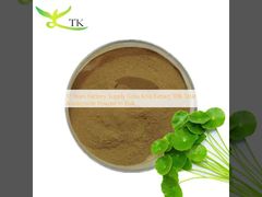 17 Jaar Fabriekslevering Gotu Kola Extract 10% Totaal Asiaticoside Poeder In Bulk