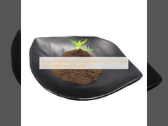 Natuurlijk Ingrediënt Senna Blad Extract 10:1 20:1 Cassia Angustifolia Extract Poeder