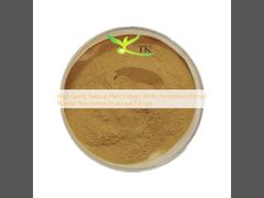 Hoge Kwaliteit Natuurlijk Plantenextract Witte Kaki Extract Poeder Kaki Vrucht/Blad Extract