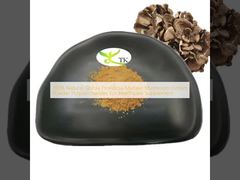100% Natuurlijk Grifola Frondosa Maitake Paddenstoel Extract Poeder Polysachariden Voor Gezondheidszorg Supplement