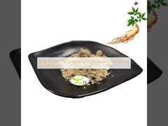 100% Natuurlijk Panax Ginseng Wortelextract Ginseng Wortelpoeder Bulk