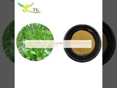 Natuurlijk plantenextract Weegbreebladextract Poeder Plantago Lanceolata Extract