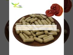 OEM Natuurlijk Paddenstoelsupplement Reishi Paddenstoel Extract Capsules in Bulk